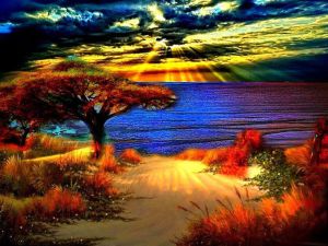 16081_558548847494847_184531062_n (1)