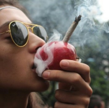 tumblr_nwpqxkWxO21uj4l8co1_500