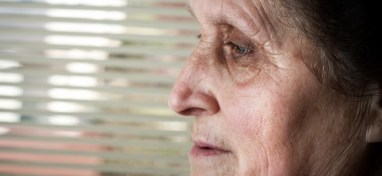 dreamstime_14046515-650x300