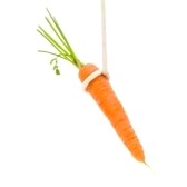 3327226-bait-small-carrot-on-a-white-background